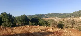 Land for sale in A'anjara