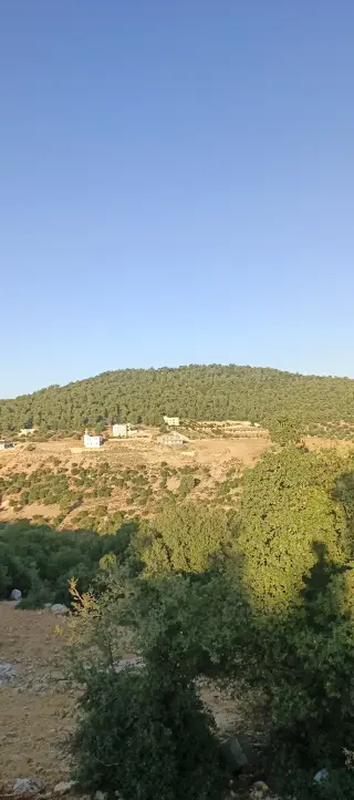 Land for sale in A'anjara – photo 6
