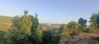 Land for sale in A'anjara – photo 5