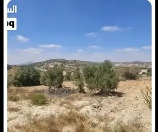 Land for sale in I'bbeen – photo 2