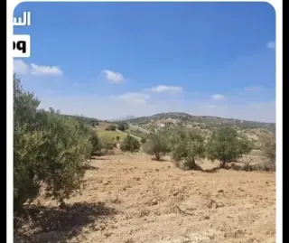 Land for sale in I'bbeen – photo 5