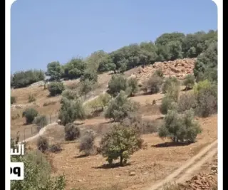 Land for sale in I'bbeen