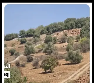 Land for sale in I'bbeen – photo 4