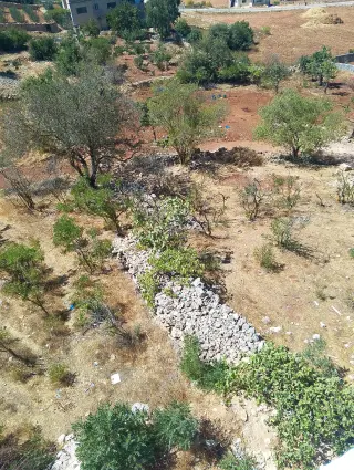 Land for sale in I'bbeen – photo 4