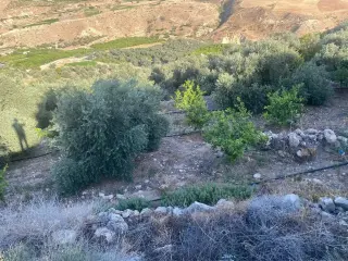 أرض للبيع في Kuforanja – صورة 2