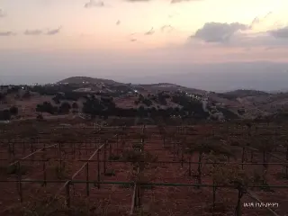 Land for sale in Kuforanja – photo 8