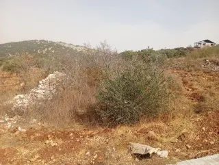 Land for sale in Downtown – photo 3