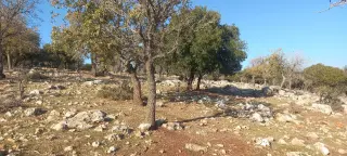 أرض للبيع في Al-Hashimiyyah – صورة 4