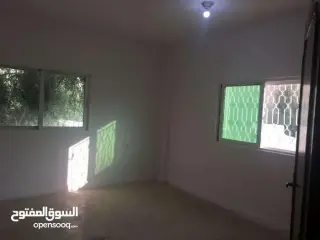 Apartment for sale in Al-Mazar Al-Janoubi – photo 3