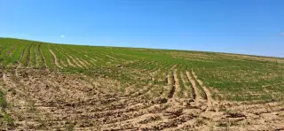 Land for sale in Other – photo 6