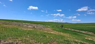 Land for sale in Other
