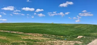 Land for sale in Other – photo 3
