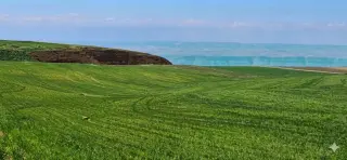Land for sale in Other – photo 8