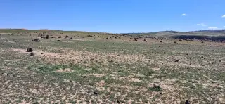 Land for sale in Other – photo 5