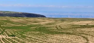 Land for sale in Other – photo 4