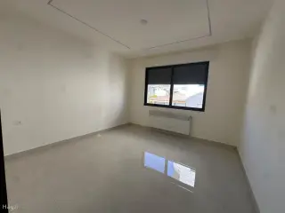 الصورة 7 من 12