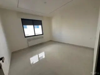 الصورة 8 من 12