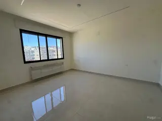 الصورة 10 من 12