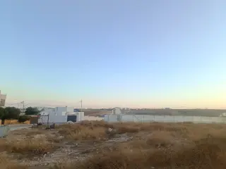 أرض للبيع في Ader – صورة 9