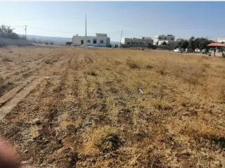 Land for sale in Al-Adnanya – photo 2