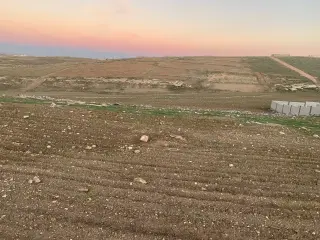 Land for sale in Al Msherifeh – photo 5