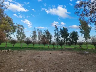 أرض للبيع في Al-Badiah Ash-Shamaliyah