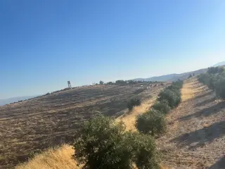 Land for sale in Rhab