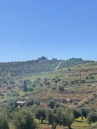 Land for sale in Rhab – photo 5