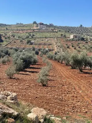 Land for sale in Rhab