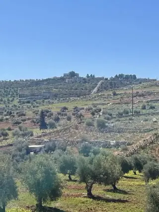 Land for sale in Rhab – photo 4