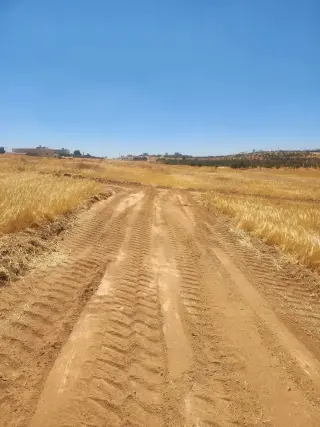 Land for sale in Rhab – photo 11