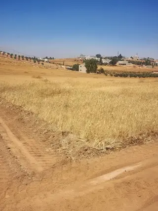 Land for sale in Rhab – photo 2