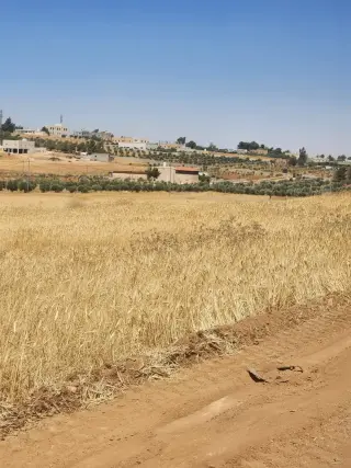 Land for sale in Rhab