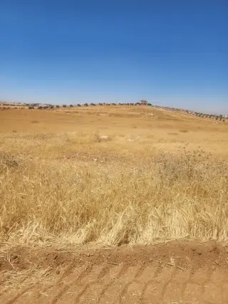 Land for sale in Rhab – photo 6