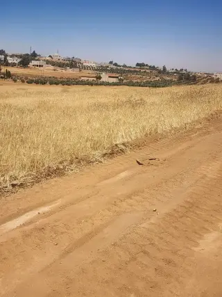 Land for sale in Rhab – photo 8