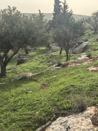 أرض للبيع في Bala'ama – صورة 17