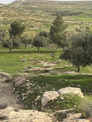 أرض للبيع في Bala'ama – صورة 20