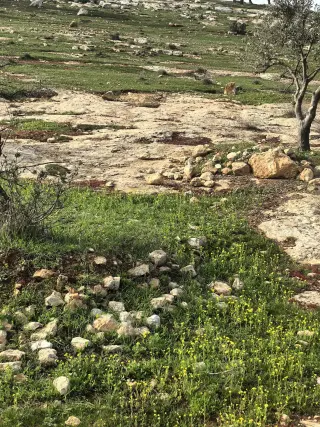أرض للبيع في Bala'ama – صورة 9