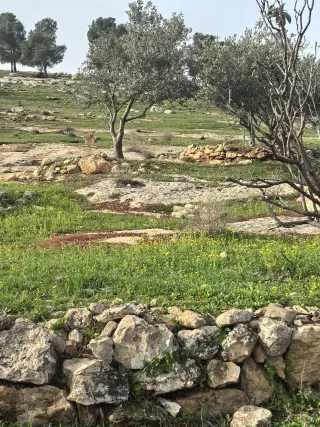 أرض للبيع في Bala'ama – صورة 15