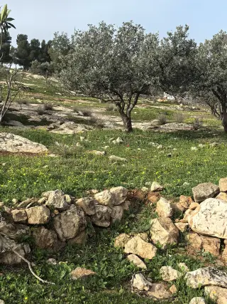 أرض للبيع في Bala'ama – صورة 16
