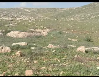 Land for sale in Ain wa Al-Ma'mariyyeh – photo 2