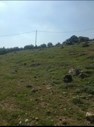 Land for sale in Ain wa Al-Ma'mariyyeh – photo 5