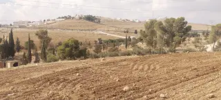 Land for sale in Ain wa Al-Ma'mariyyeh – photo 8
