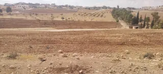 Land for sale in Ain wa Al-Ma'mariyyeh – photo 6