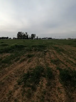 Land for sale in Thaghrat Al-Gub