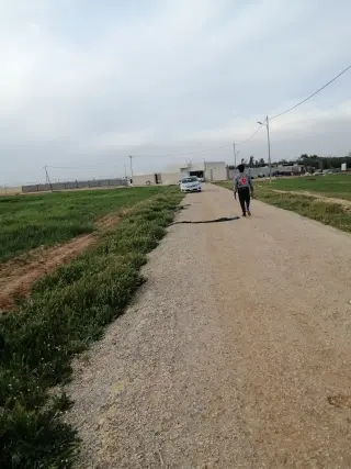 Land for sale in Thaghrat Al-Gub – photo 4