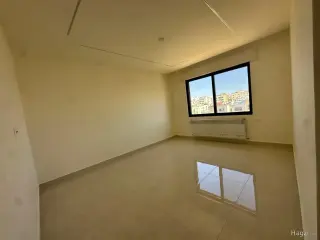 الصورة 11 من 12
