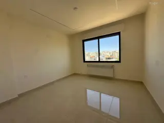 الصورة 9 من 12