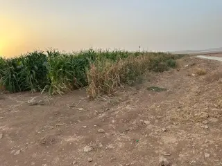 Land for sale in Thaghrat Al-Gub – photo 2