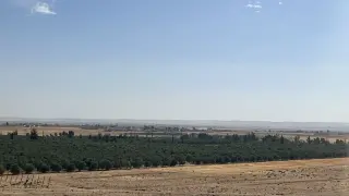 Land for sale in Um Al Jimal – photo 2